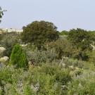 B&B Villa Lavanda