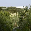 B&B Villa Lavanda