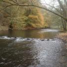 Camping Berkel