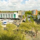 Market View