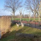 Arendsnest