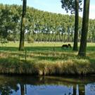 Bed & Breakfast Villa Annie Cousaert