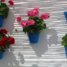 Casa del Patio - Kamer 4