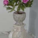 B&B Villa Lavanda - Mount Lavinia