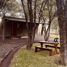 Adrenaline Lodge and Tours - Impala