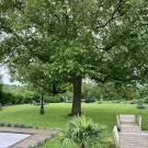 B&B Rue Haute by M&M - Garden suite