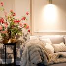 The Lodge Bed & Wellness
