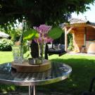 B&B BellaRose