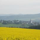 Connies Blumenwiese