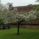 B&B Slaoperij