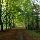 B&B Slaoperij