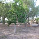 B&B Casa Veraneo