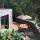 El Drago del Sao - Gardenhouse