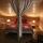 Loft appartement