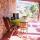 Quarto Grilos
