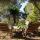 Finca Robusto - Naturistische B&B - Kamer Carmen (inclusief ontbijt)