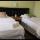 Woodpecker Guest House - Family Rooms