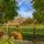 B&B Rue Haute by M&M - Garden suite