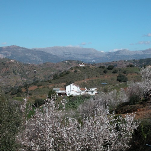 Finca Serrato