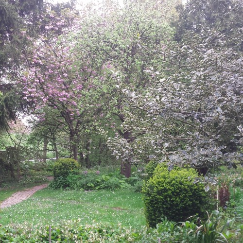De IJsbout