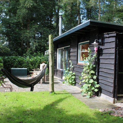Bed and Breakfast Back to Basic