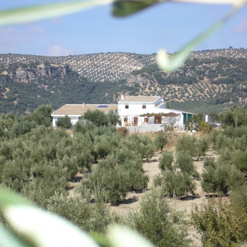 B&B Lasnavillasmm