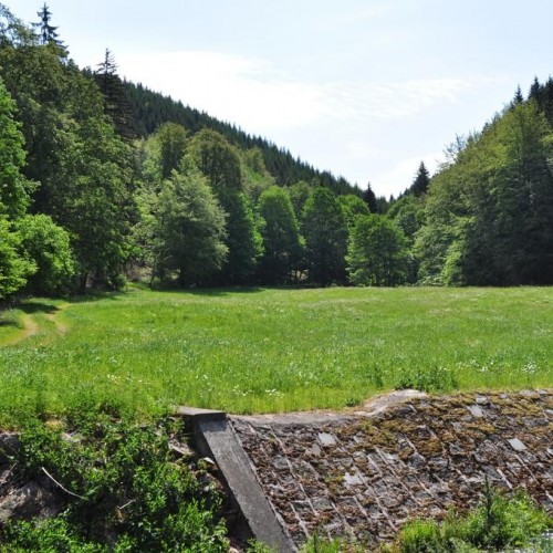 Pension Zum Glasmacher