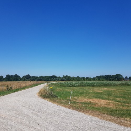 De Brembroeken