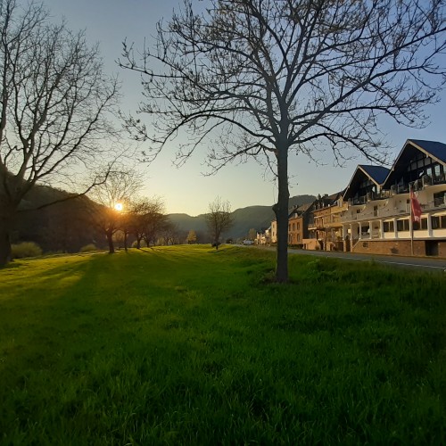 B&B Haus Moselliebe