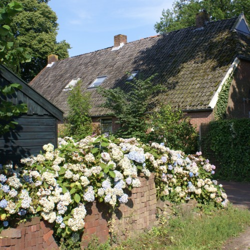 Onder de Eiken