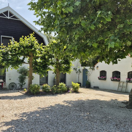Het Leeuwenhofje