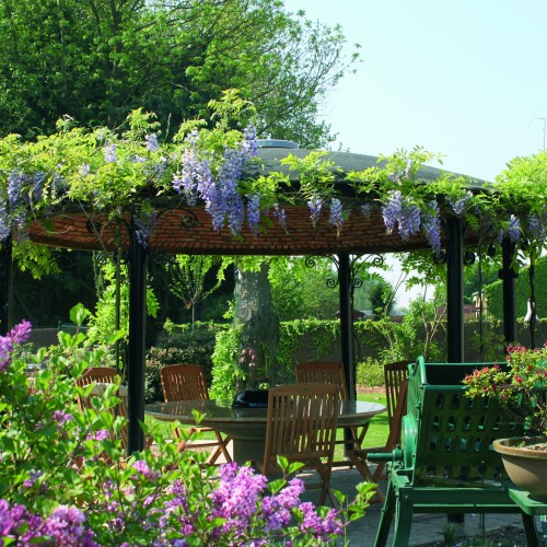 Gastenverblijf Wisteria