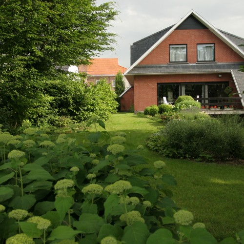 B&B Goudsbloempje