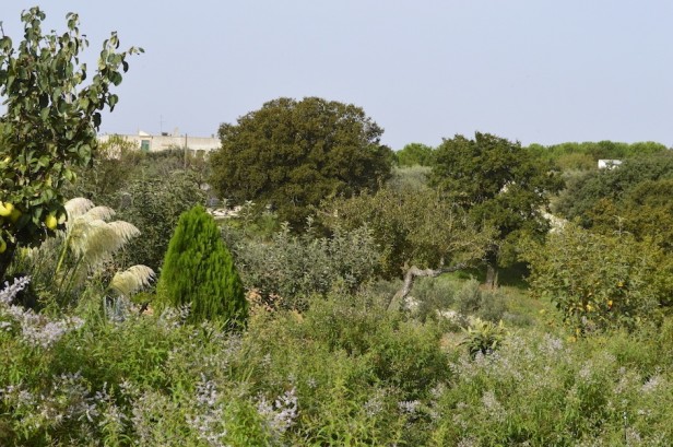 B&B Villa Lavanda