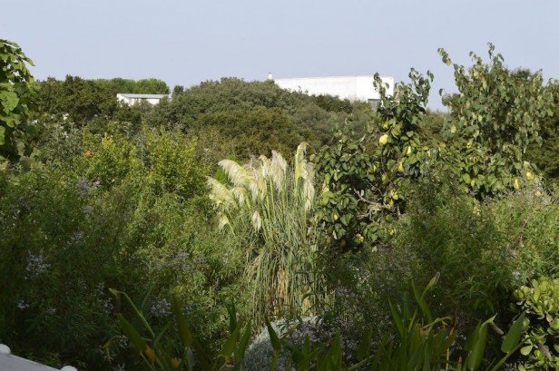 B&B Villa Lavanda