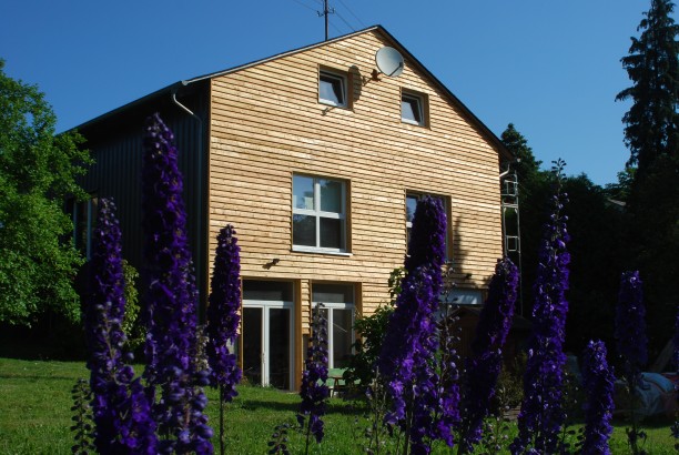 Connies Blumenwiese