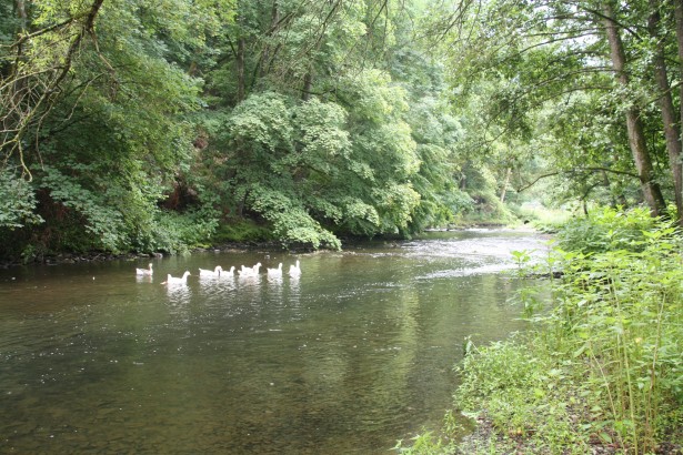 Camping Berkel
