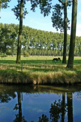 Bed & Breakfast Villa Annie Cousaert