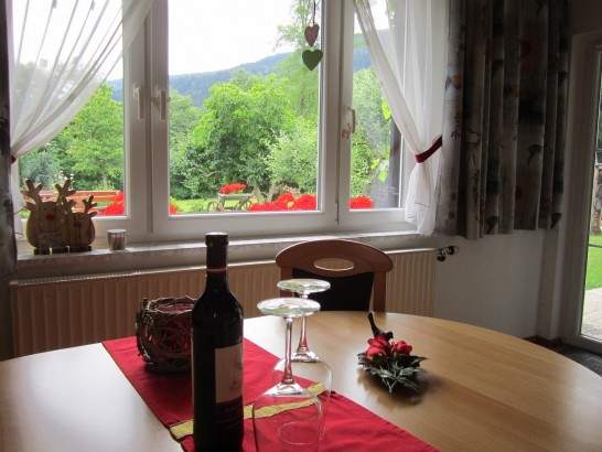 Haus Holunder - Appartement met Terras (begane grond)