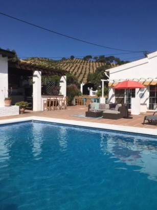 Finca del Gecko - Morado