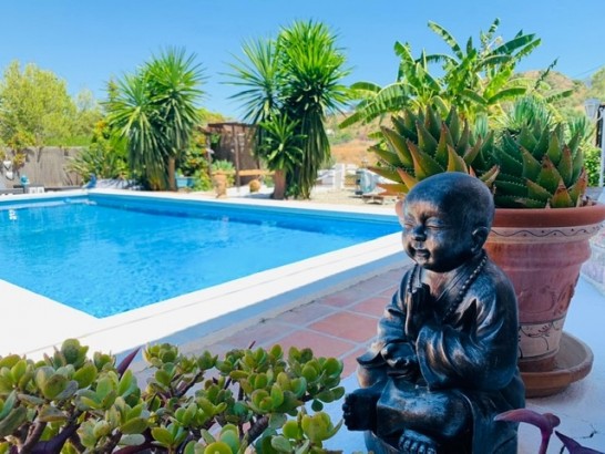 Finca del Gecko