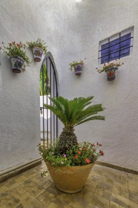 Casa Asombrosa
