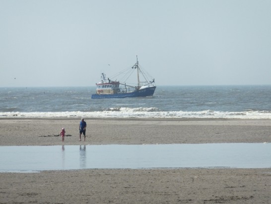 Kussengevecht