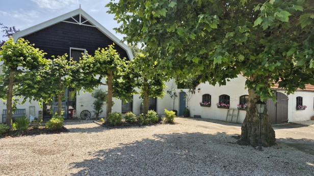 Het Leeuwenhofje