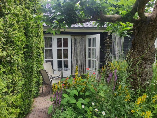 B&B BellaRose