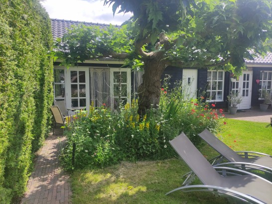 B&B BellaRose