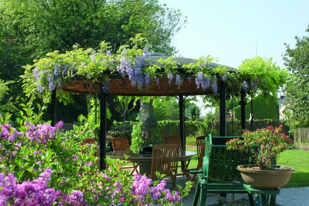 Gastenverblijf Wisteria